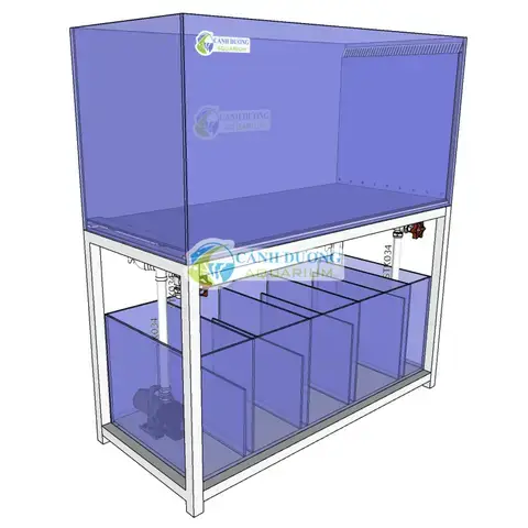 Có Nên Mua Thanh Lý Hồ Cá Công Nghệ Mới? Hướng Dẫn Toàn Diện