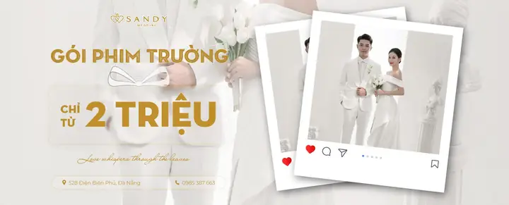 Thanh Lý Hồ Cá Đà Nẵng: Kinh Nghiệm Vàng Chọn Mua & Địa Chỉ Uy Tín