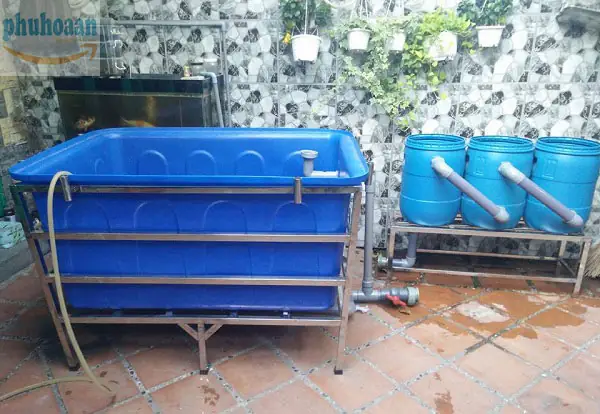 Thanh lý thùng nhựa nuôi cá: Những điều cần biết