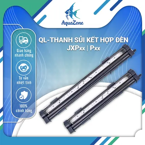 Cách Chọn **Thanh Sủi Bể Cá** Tốt Nhất Cho Hồ Thủy Sinh