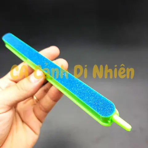 Hướng dẫn chi tiết sử dụng thanh sủi khí cho bể cá