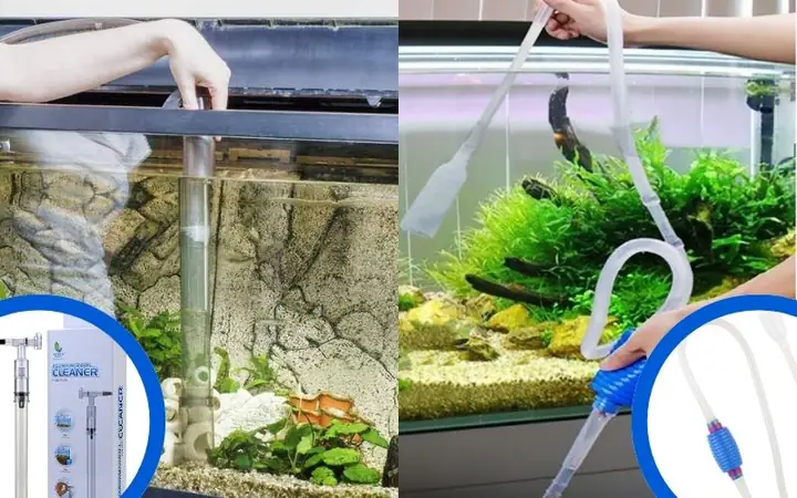 thay nước bể cá