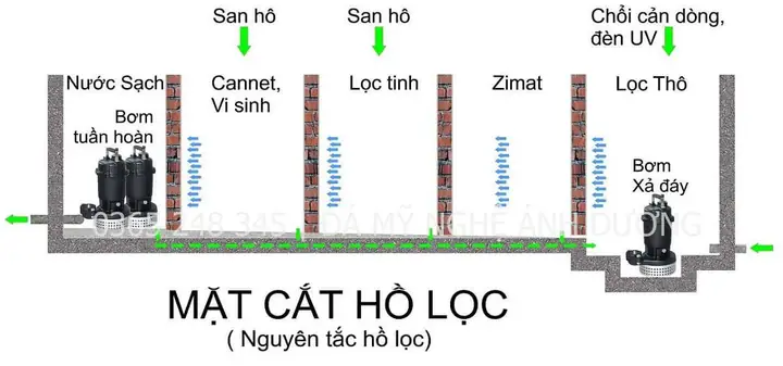 thi công hồ cá koi