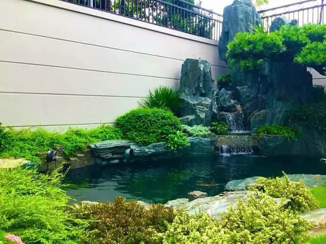 thi công hồ cá koi bình dương thi công hồ cá koi bình dương