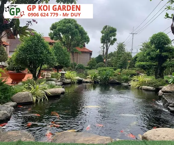 thi công hồ cá koi bình dương thi công hồ cá koi bình dương