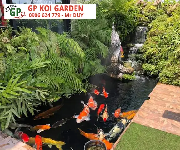 thi công hồ cá koi bình dương