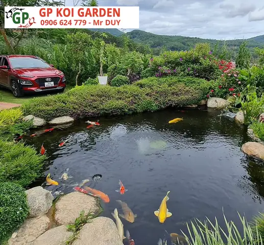 thi công hồ cá koi bình dương thi công hồ cá koi bình dương