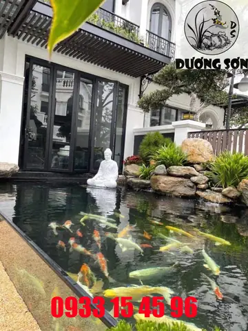 Hướng Dẫn Thi Công Hồ Cá Koi TPHCM Chuyên Nghiệp Từ A-Z