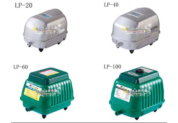 Hướng Dẫn Thi Công Hồ Cá Koi TPHCM Chuyên Nghiệp Từ A-Z