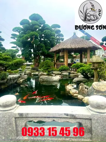 Hướng Dẫn Thi Công Hồ Cá Koi TPHCM Chuyên Nghiệp Từ A-Z