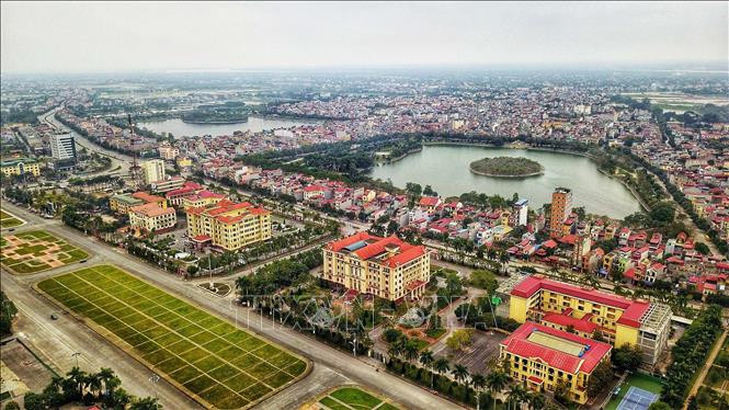 Thị trường cá cảnh Hưng Yên với các cửa hàng uy tín và đa dạng.