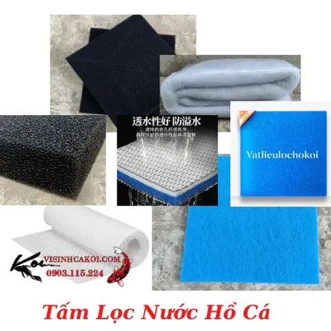 Hướng Dẫn Chi Tiết Chọn Lựa Thiết Bị Hồ Cá Cảnh Phù Hợp