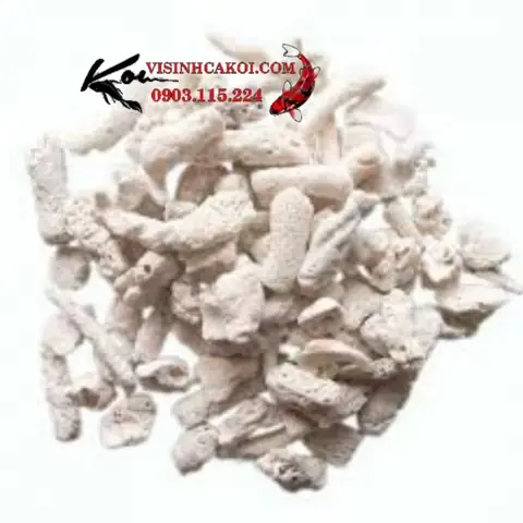 4/ Thiết Bị Lọc Nước Hồ Cá Koi