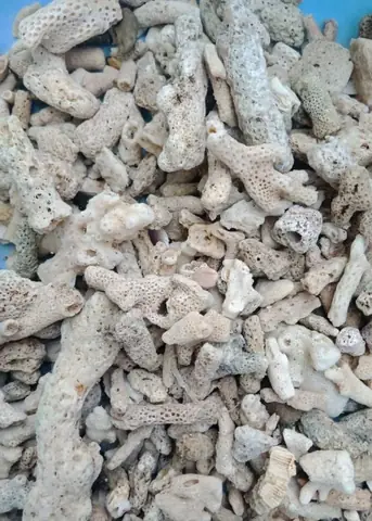 4/ Thiết Bị Lọc Nước Hồ Cá Koi