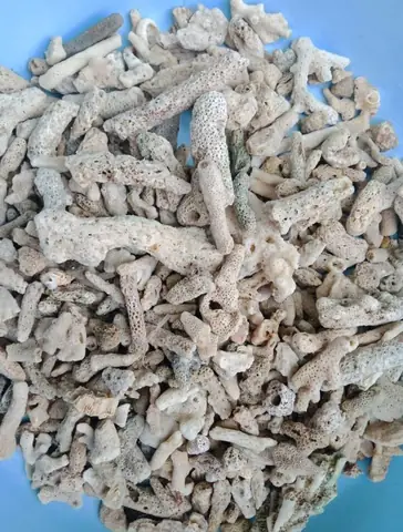 4/ Thiết Bị Lọc Nước Hồ Cá Koi