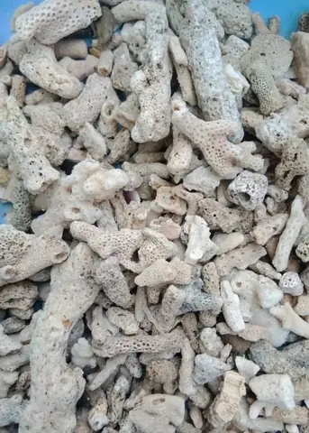 4/ Thiết Bị Lọc Nước Hồ Cá Koi