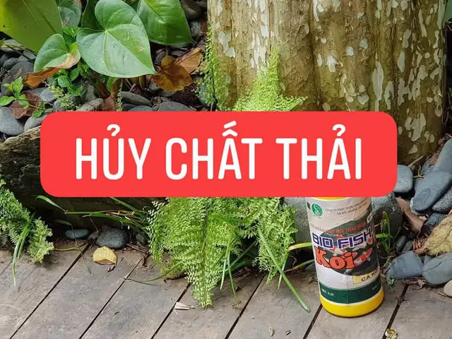 10/ Vi Sinh Sử Lý Nước Hồ Cá Koi