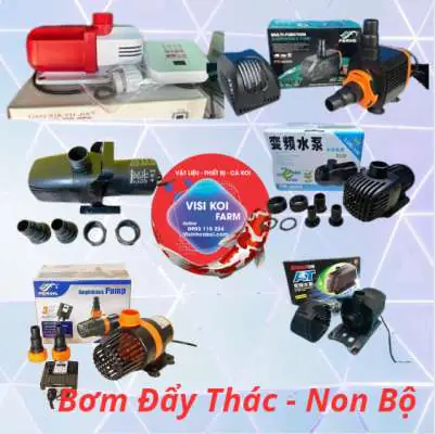 1 / Thiết Bị Bơm Hồ Cá Koi