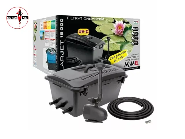 Thiết Bị Lọc Nước Hồ Cá Koi: Hướng Dẫn Chọn Và Lắp Đặt