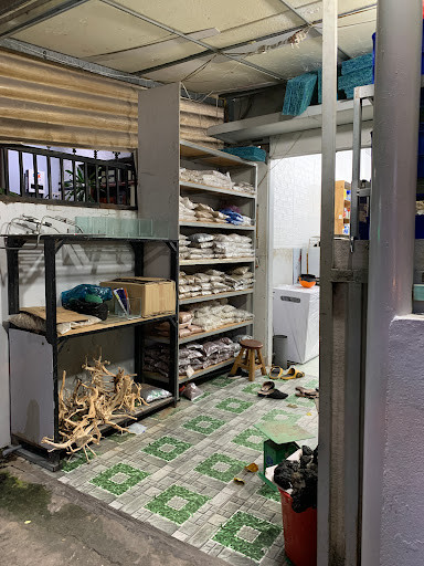 Thiết bị lọc và chăm sóc hồ thủy sinh chuyên nghiệp tại Quận 7