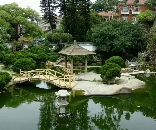Hướng Dẫn Thiết Kế Ao Cá Đẹp, Chuẩn Phong Thủy Cho Không Gian Sống