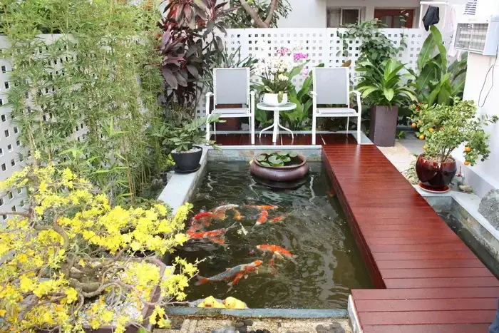 Hướng Dẫn Thiết Kế Ao Cá Đẹp, Chuẩn Phong Thủy Cho Không Gian Sống
