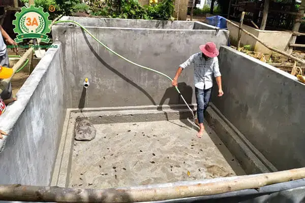 Hướng Dẫn Thiết Kế Ao Nuôi Cá Trong Vườn Đẹp & Bền Vững