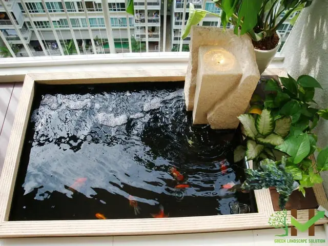 Thiết kế hồ cá cảnh sân thượng: Hướng dẫn chi tiết từ A đến Z