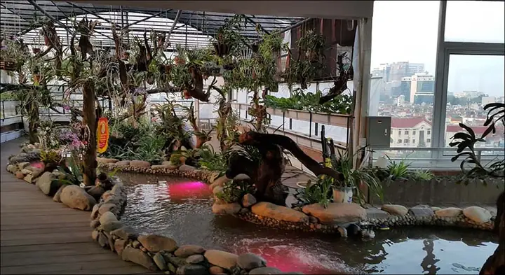 Thiết kế hồ cá cảnh sân thượng: Hướng dẫn chi tiết từ A đến Z Thiết kế hồ cá cảnh sân thượng: Hướng dẫn chi tiết từ A đến Z