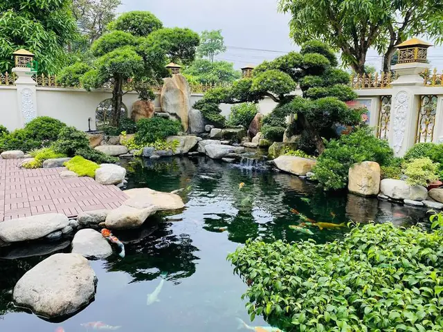 thiết kế hồ cá koi thiết kế hồ cá koi
