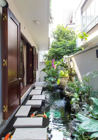 thiết kế hồ cá koi thiết kế hồ cá koi