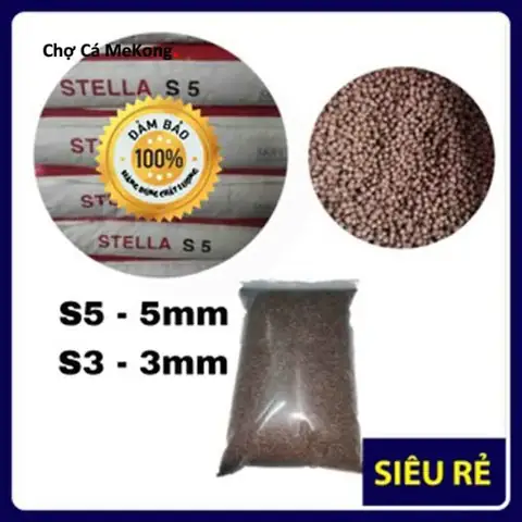 Thức Ăn Cá Koi Stella: Đánh Giá Chi Tiết & Hướng Dẫn Sử Dụng Hiệu Quả