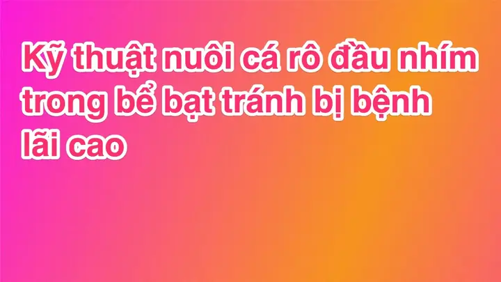 Thức ăn cá rô đầu nhím: Hướng dẫn dinh dưỡng và chế độ ăn