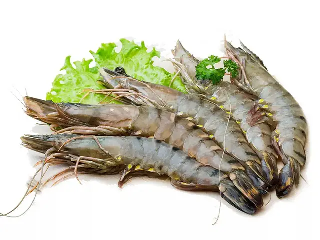 thức ăn cho cá la hán thức ăn cho cá la hán