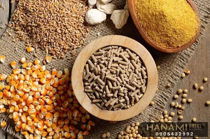 Hướng Dẫn Chi Tiết Chọn Mua Thức Ăn Cho Cá Cảnh Tại Đà Nẵng