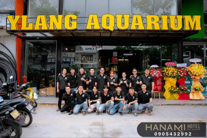 Hướng Dẫn Chi Tiết Chọn Mua Thức Ăn Cho Cá Cảnh Tại Đà Nẵng