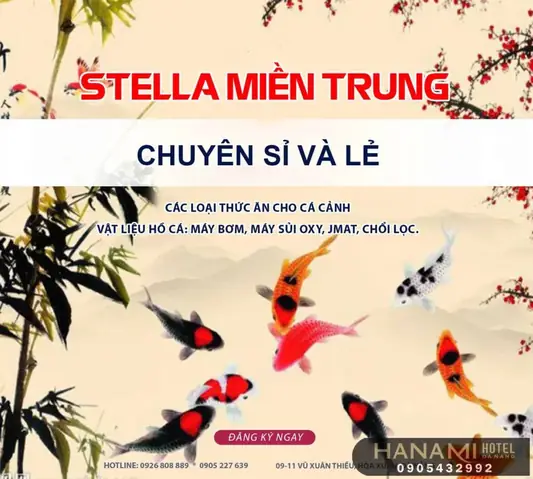 Hướng Dẫn Chi Tiết Chọn Mua Thức Ăn Cho Cá Cảnh Tại Đà Nẵng
