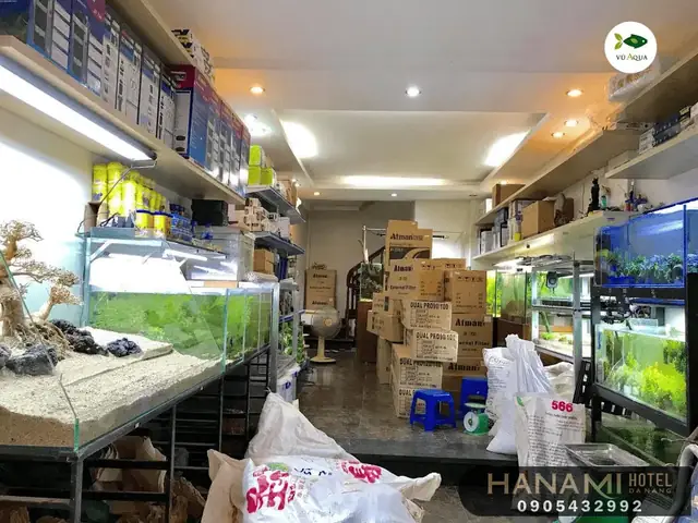 Hướng Dẫn Chi Tiết Chọn Mua Thức Ăn Cho Cá Cảnh Tại Đà Nẵng