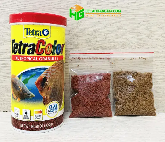 Thức Ăn Cho Cá Tetra Color: Hướng Dẫn Chọn Và Sử Dụng Hiệu Quả