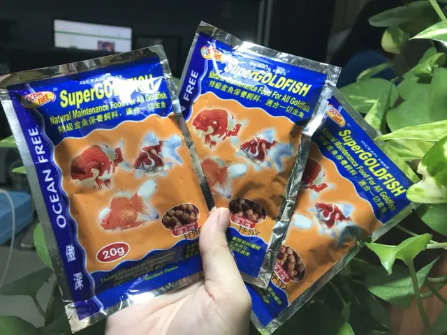 Thức Ăn Cho Cá Vàng: Hướng Dẫn Toàn Diện Từ A Đến Z