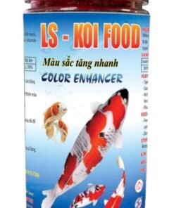 Thức ăn chuyên dụng cho cá cảnh Sài Gòn, giúp cá phát triển khỏe mạnh và lên màu đẹp