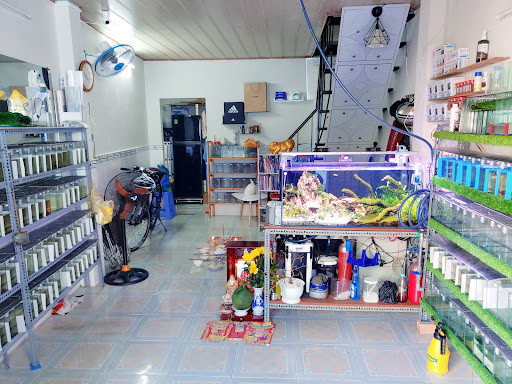 Thức ăn và thuốc cho cá cảnh chuyên biệt tại Shop Betta Koi Trung Le Quận 7
