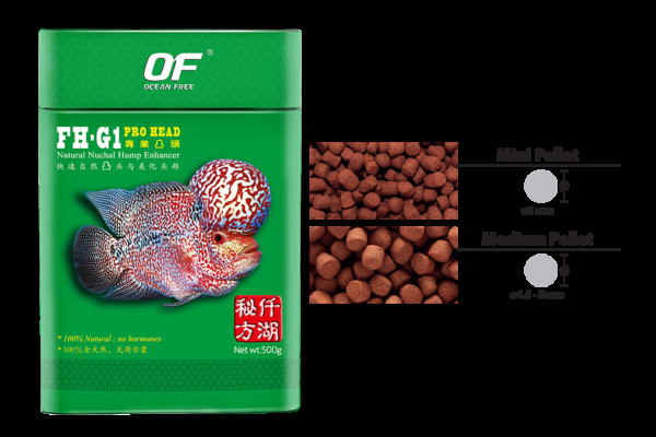 Thức ăn viên chuyên dụng FH-G1 ProHead giúp cá La Hán phát triển đầu gù