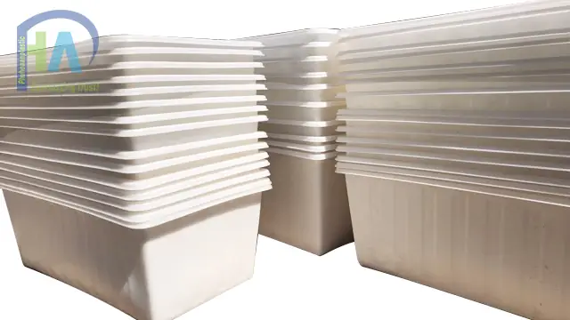 Hướng Dẫn Toàn Diện Về Thùng Nhựa Lớn Nuôi Cá An Toàn Và Bền Bỉ
