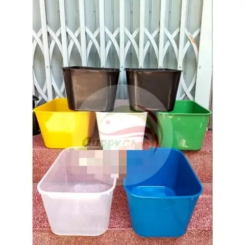 Thùng Nhựa Nuôi Cá 7 Lít: Hướng Dẫn Chọn Và Chăm Sóc Đúng Cách