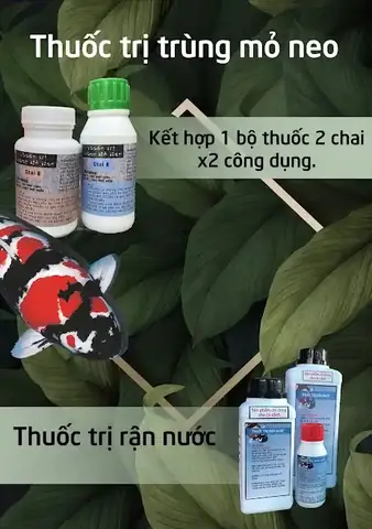 Hướng Dẫn Chi Tiết Về **Thuốc Cho Cá Koi** Và Cách Dùng Hiệu Quả