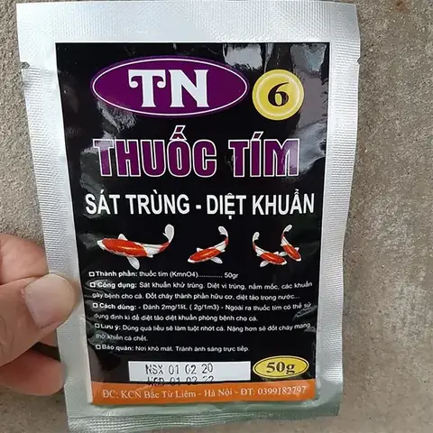 Hướng Dẫn Chi Tiết Về **Thuốc Cho Cá Koi** Và Cách Dùng Hiệu Quả