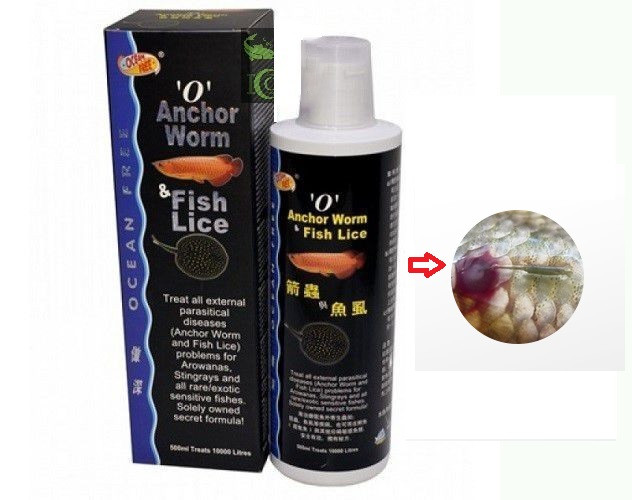 Thuốc diệt rận chuyên dụng giúp loại bỏ ký sinh trùng mỏ neo trên cá