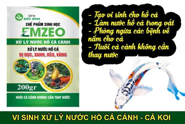 Có nên dùng chế phẩm vi sinh làm trong nước hồ cá EMZEO?