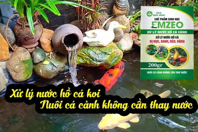 Thuốc/chế phẩm vi sinh làm trong nước hồ cá EMZEO là gì?